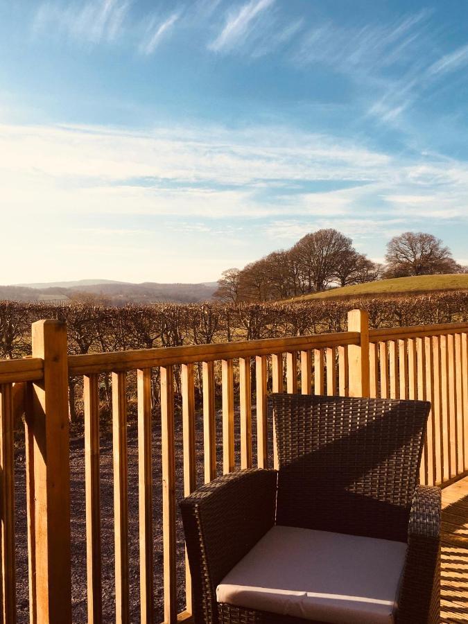 Lodge Sunset