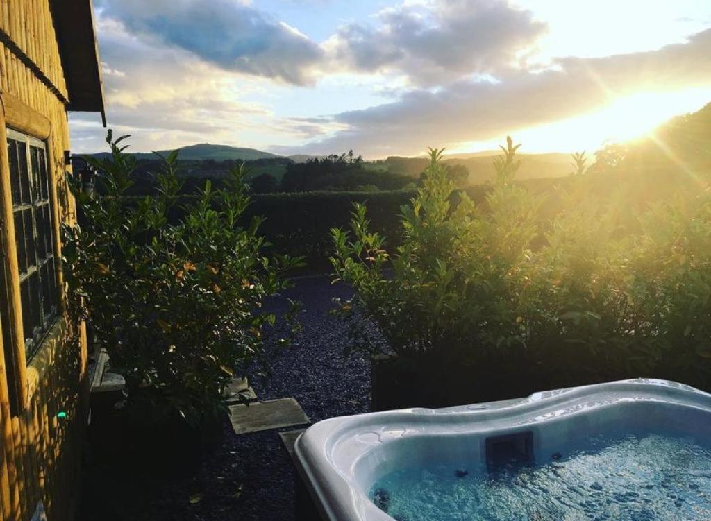 Lodge Sunset Mold